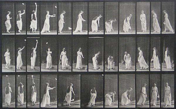 Appraisal: Eadweard Muybridge British - from Animal Locomotion Pl Collotype plate