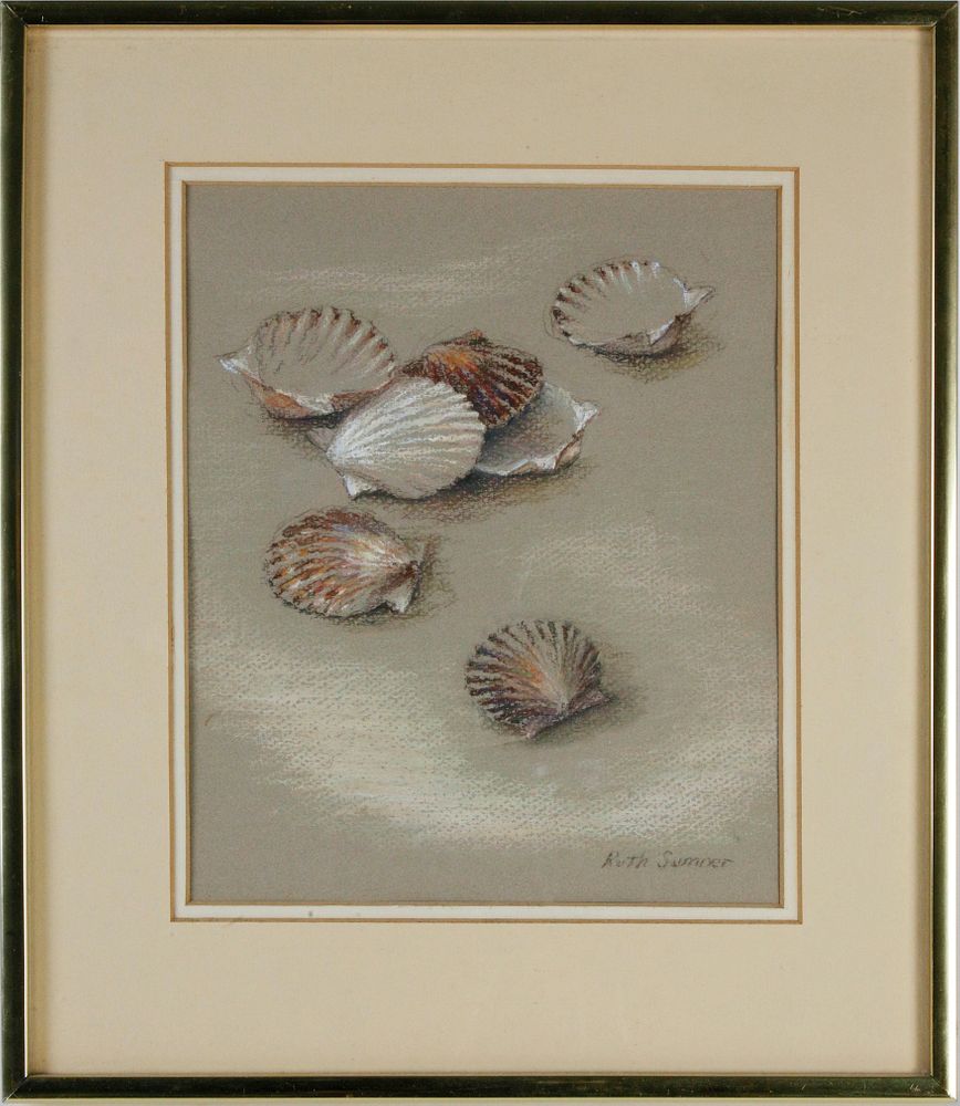 Appraisal: Ruth Sumner Pastel on Paper Scallop Shells Ruth Sumner Pastel