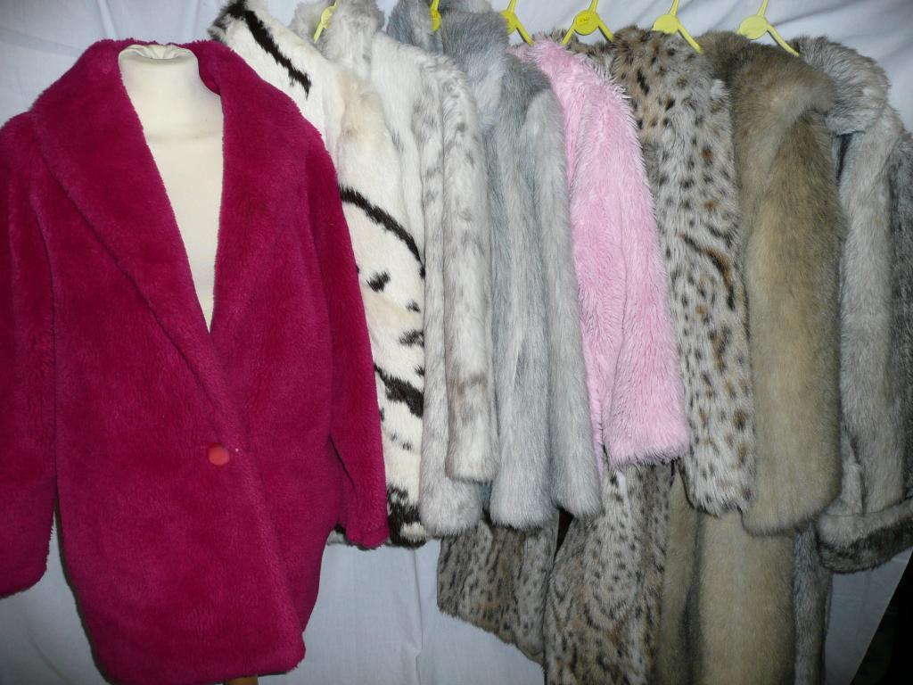 Appraisal: A collection of fun furs - various colours and styles