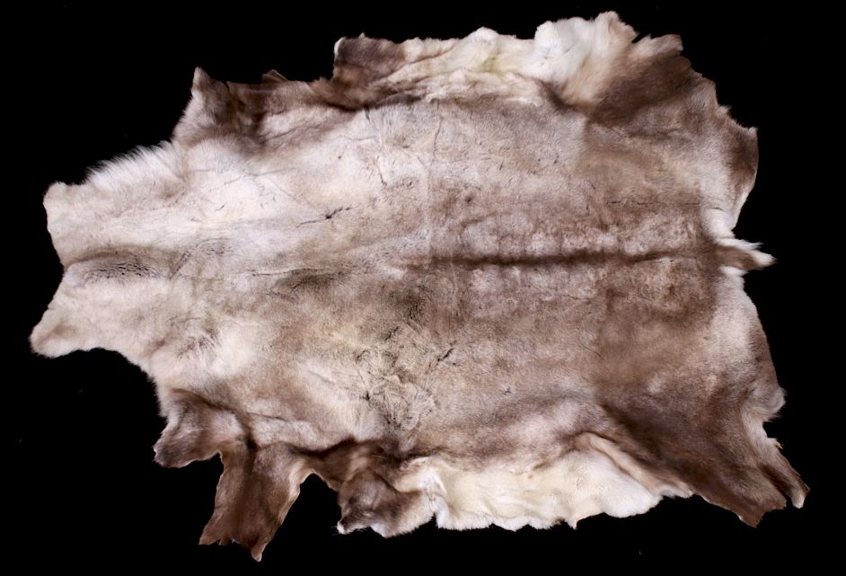 Appraisal: Tanned Alaskan Caribou Hide This is a tanned Alaskan Caribou