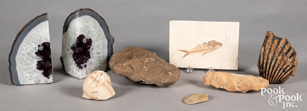 Appraisal: Group of fossils and tools Group of fossils and tools