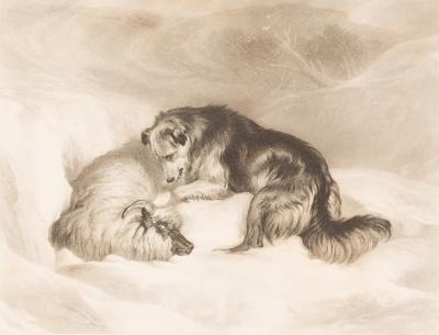 Appraisal: Charles James Lewis - after Sir Edwin Landseer A Dog