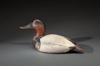 Appraisal: Canvasback Drake The Ward Brothers Lemuel T - and Stephen