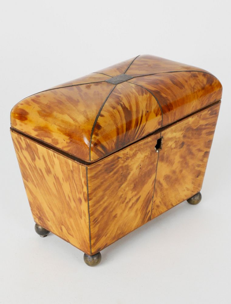 Appraisal: English Regency Tortoiseshell Double Compartment Tea Caddy Early th c