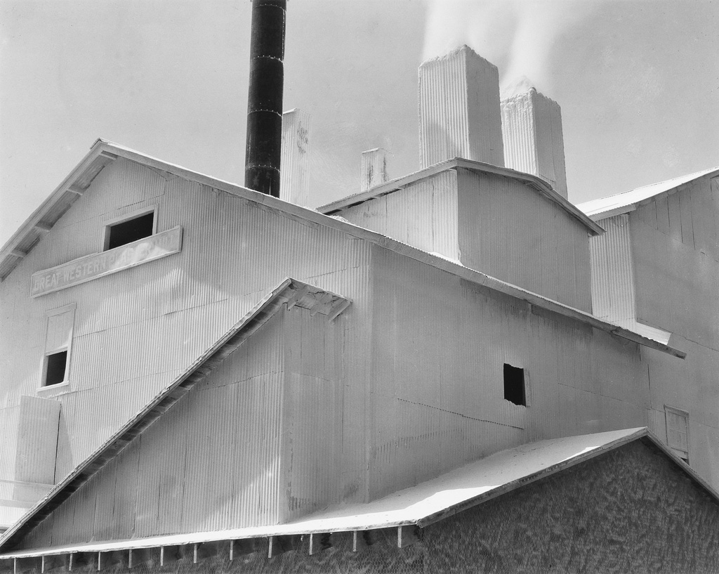 Appraisal: EDWARD WESTON - COLE WESTON - Plaster Works Los Angeles