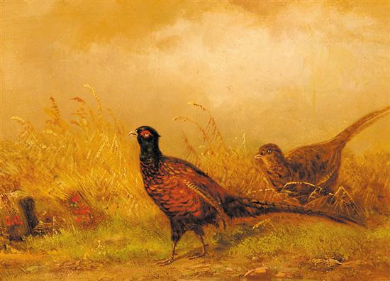 Appraisal: Carl Friedrich Ockert German - FEEDING PHEASANTS oil on board