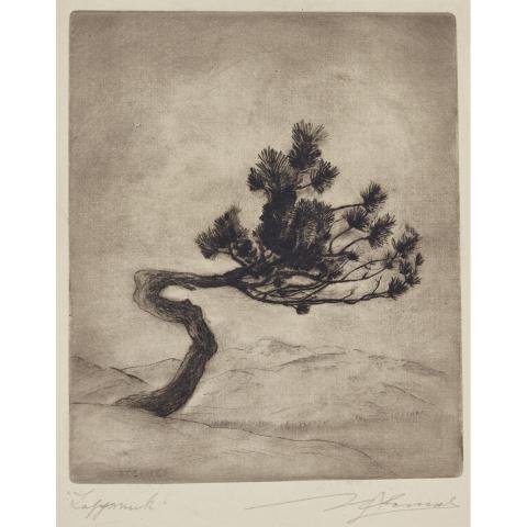 Appraisal: Malte Sterner - GNARLED TREE Swiss Canadian Drypoint and etching