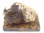 Appraisal: A geological specimen of a smoky quartz crystal binding an