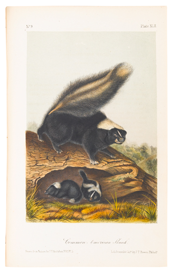 Appraisal: AUDUBON JOHN JAMES and BACHMAN JOHN The Quadrupeds of North