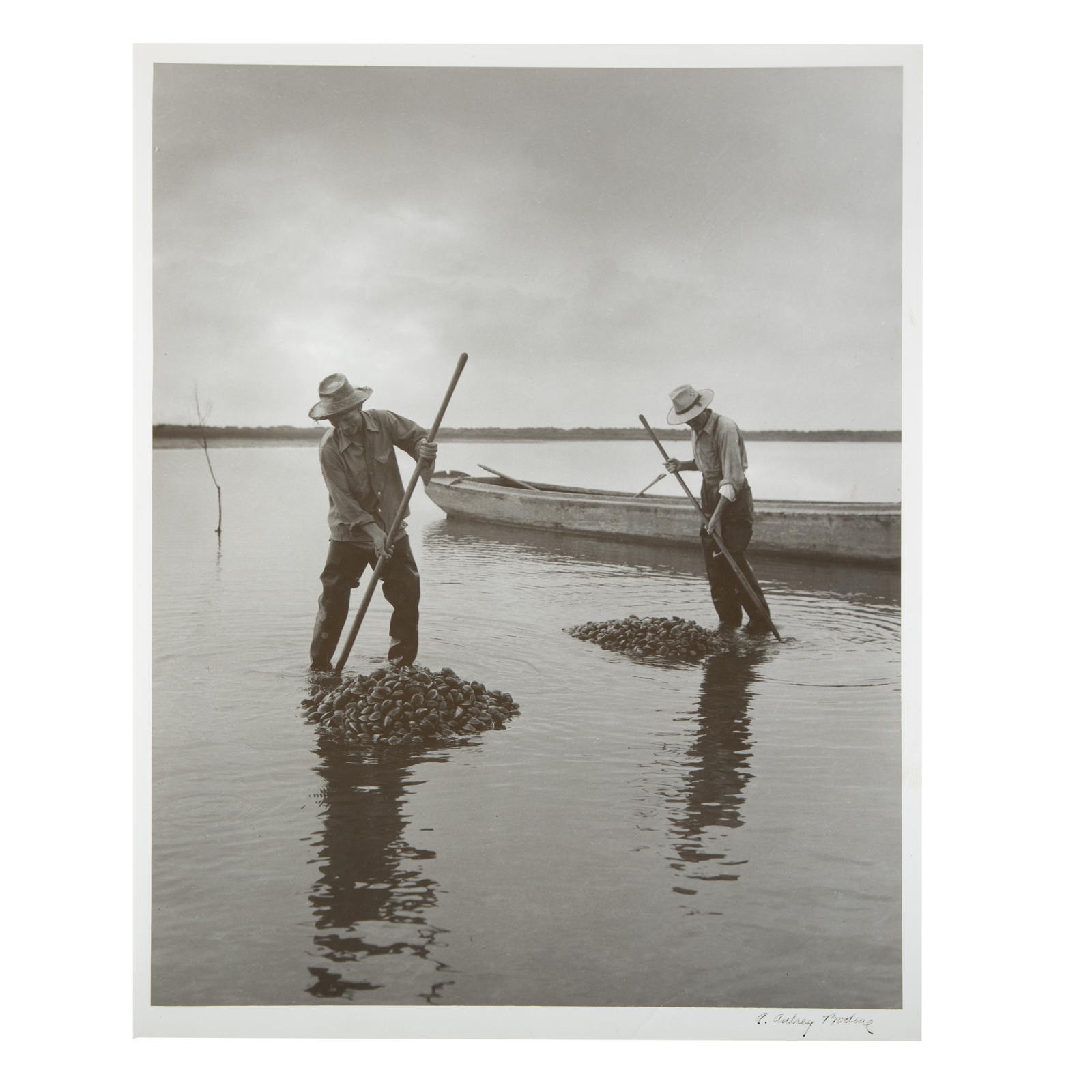 Appraisal: A AUBREY BODINE RAKING CLAMS American - Gelatin silver print