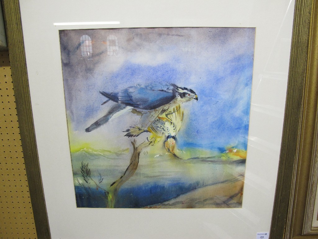 Appraisal: SOPHIA KNIGHT Watercolour 'Goshawk with prey' signed