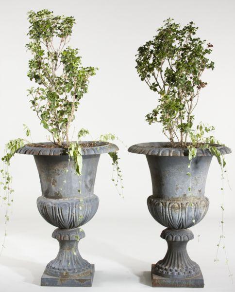 Appraisal: Pair of Large Vintage Cast Iron Garden Urns with black