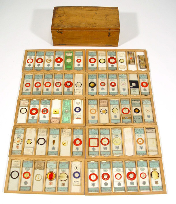 Appraisal: Collection of scientific glass slides in a pine case including