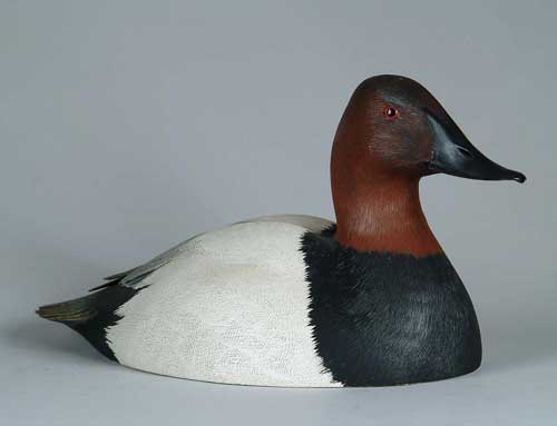 Appraisal: A VERY NICE ORNAMENTAL CARVED CANVASBACK DECOY By Puggy Frietas