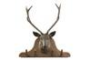 Appraisal: COAT RACK - Late th c cast iron stag head