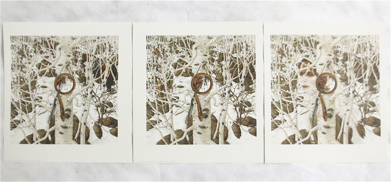 Appraisal: BEV DOOLITTLE THREE OFFSET LITHOGRAPHS California born Two More Indian