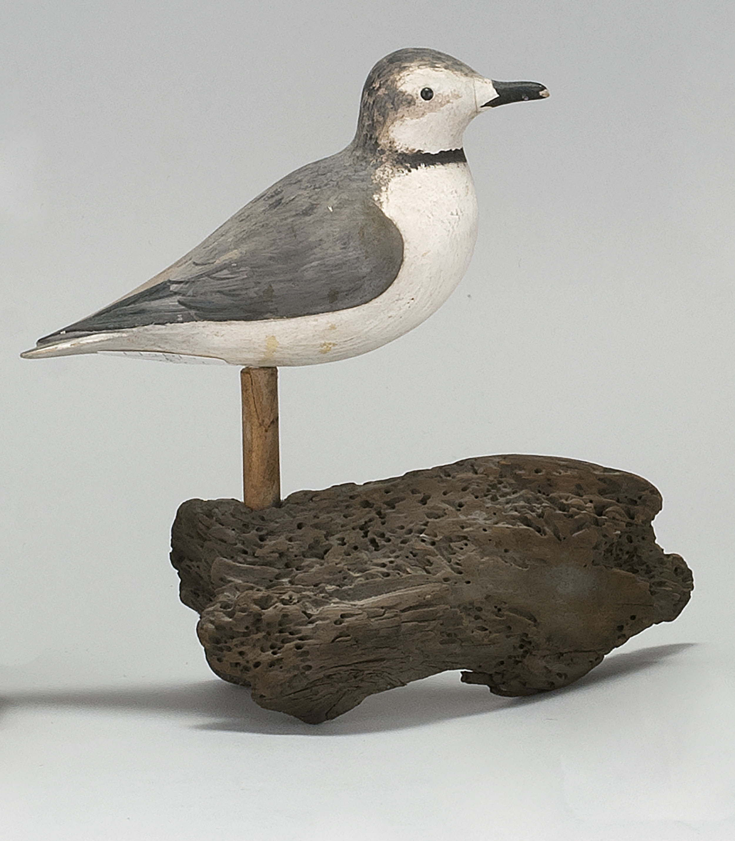 Appraisal: LIFE-SIZE PIPING PLOVER DECOY th CenturyBy Alvin A White of