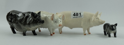 Appraisal: A group of Beswick Pigs to include Vietnamese Pot Bellied