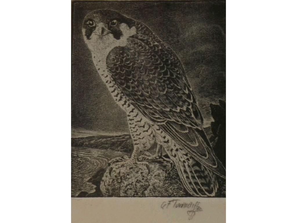 Appraisal: CHARLES FREDERICK TUNNICLIFFE - ARTIST SIGNED ORIGINAL ETCHINGBird of prey