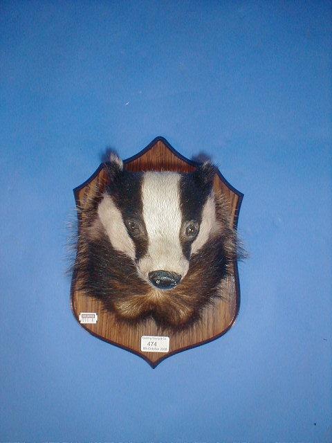 Appraisal: A taxidermy badger mask