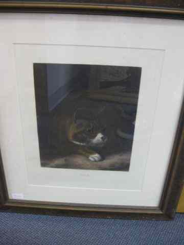 Appraisal: Engraving of a Cat ''Tom'' by A Cooper engraving by