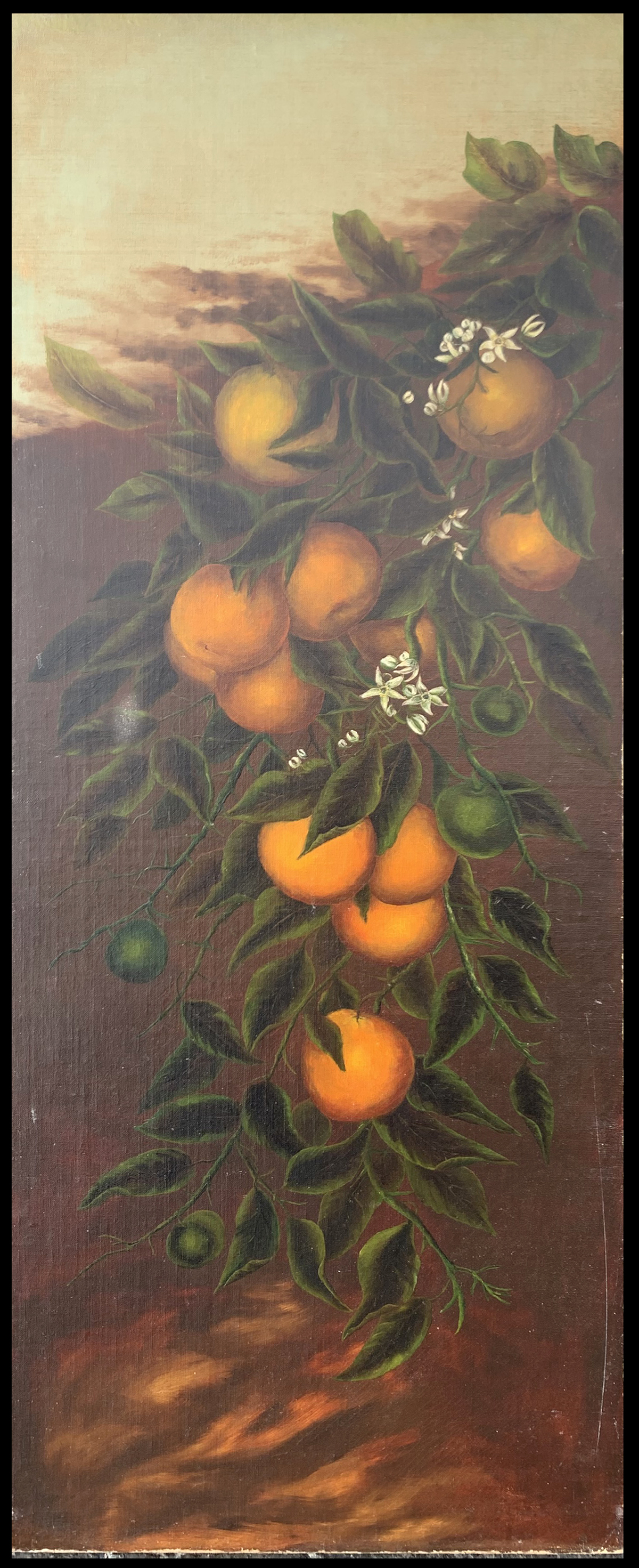 Appraisal: EARLY AMERICAN SCHOOL STUDY OF ORANGES PAINTING Oil Canvas ''