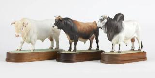 Appraisal: Three Royal Worcester porcelain models of bulls Introduced - each