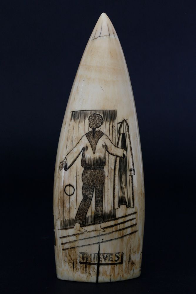 Appraisal: Large Scrimshaw Thieves Reward Whale Tooth mid th Century Large