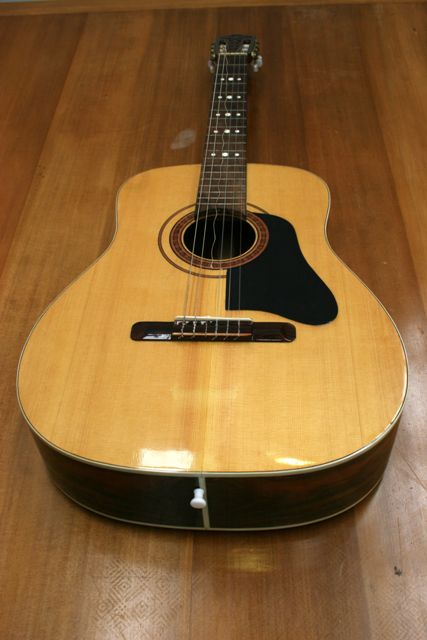 Appraisal: A guitar with case