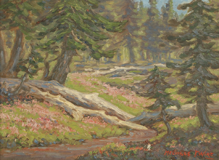 Appraisal: MELVILLE T WIRE OIL ON CANVAS Oregon - Spring landscape