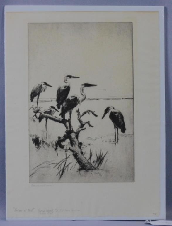 Appraisal: etching titled Herons at Rest or Great Blue Heron Wilson