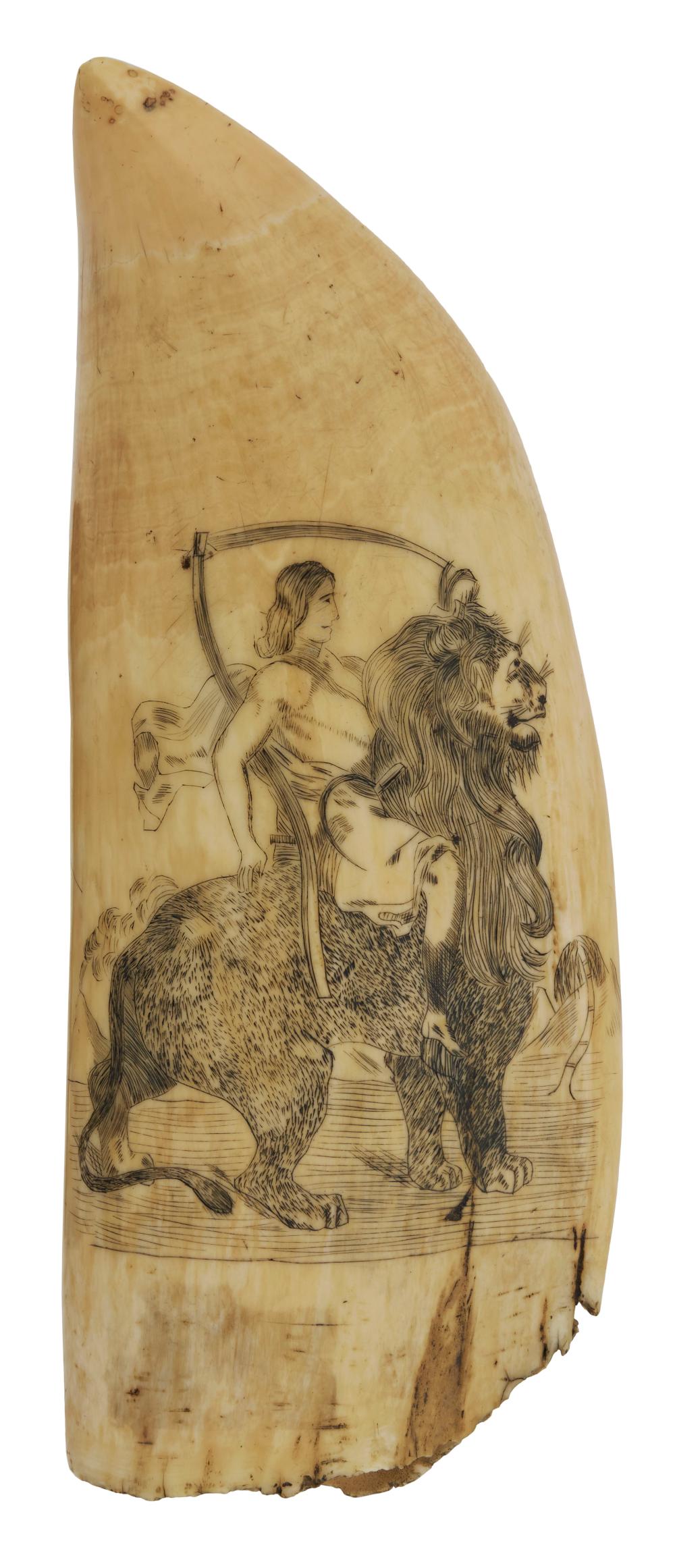 Appraisal: LARGE SCRIMSHAW WHALE'S TOOTH WITH MYTHOLOGICAL SCENES TH CENTURY LENGTH