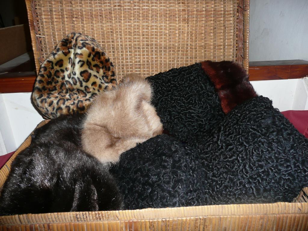 Appraisal: Fur fun fur astrakhan hats muff etc - one basket