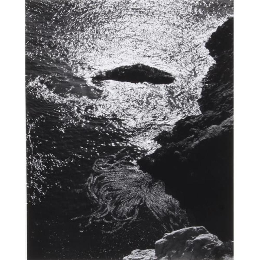 Appraisal: EDWARD HENRY WESTON AMERICAN - CHINA COVE POINT LOBOS PHOTOGRAPH