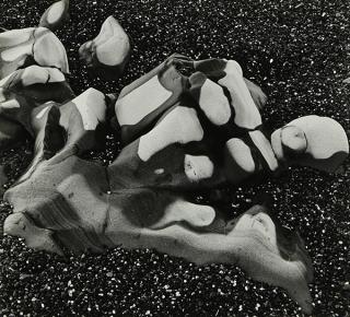 Appraisal: Photograph Brett Weston Brett Weston American - Beach Rocks from