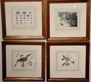 Appraisal: Group of six hand colored engravings from The Cabinet of