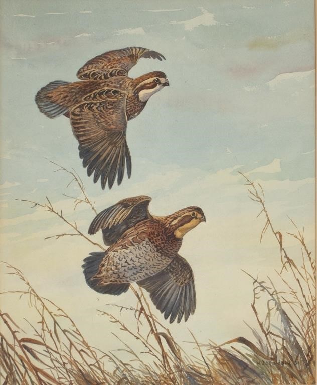 Appraisal: Flying Quail Pair signed and dated W Schaldach lower right