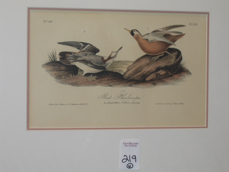 Appraisal: AFTER JOHN JAMES AUDUBON AMERICAN - LAPLAND LARK BUNTING RED-BACKED