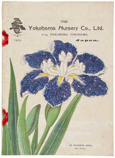 Appraisal: Descriptive Catalogue of the Yokohama Nursery Co Limited for colour-printed