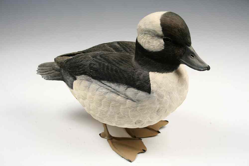 Appraisal: BIRD CARVING - 'Bufflehead Duck' Hand Carved and Painted Ornithological