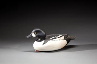 Appraisal: Barrow's Goldeneye Drake by George Strunk b Barrow's Goldeneye DrakeGeorge