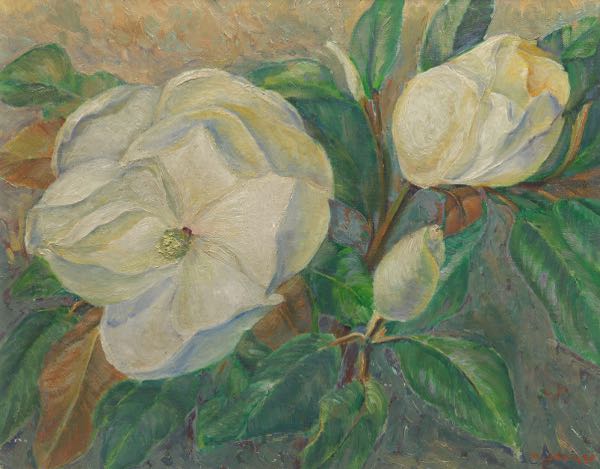 Appraisal: MARGARET JOYNER AMERICAN - x canvas board Magnolia Flowers 's