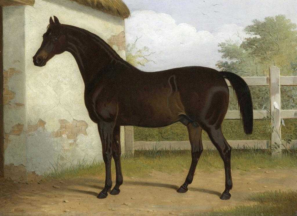 Appraisal: ROBERT HARRINGTON - PORTRAIT OF A CHESTNUT STALLION BY A