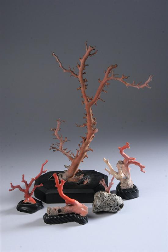 Appraisal: FIVE CHINESE CORAL BRANCHES - in high in high in