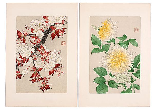 Appraisal: PAIR OF JAPANESE WOODBLOCK STILL LIFES BY KAWARAZAKI SHODO -