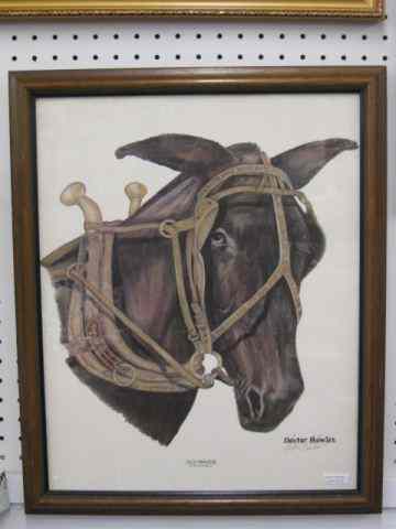 Appraisal: Dexter Bowles Lithograph of a Mule ''Old Maude'' pencil signed