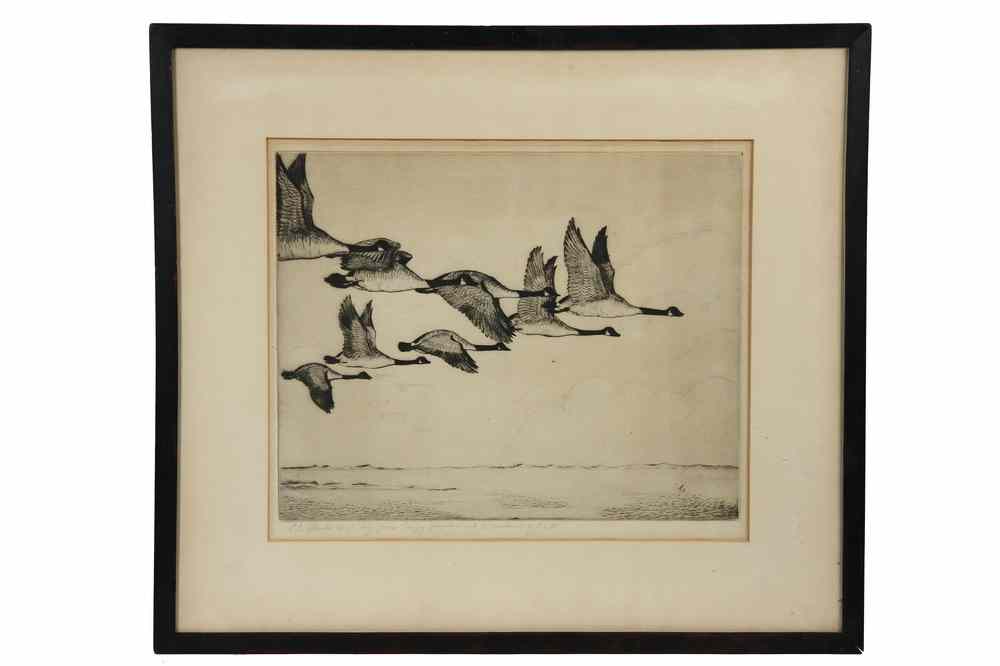 Appraisal: ETCHING - 'Canada Geese in V Formation' by P C