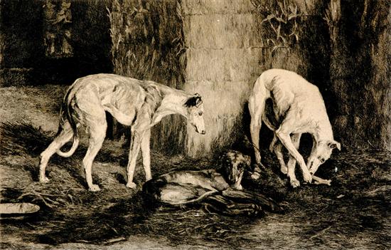 Appraisal: French school late th century HOUNDS AT REST etching framed