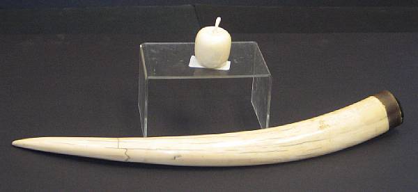 Appraisal: An ivory tusk and a carved ivory study of an