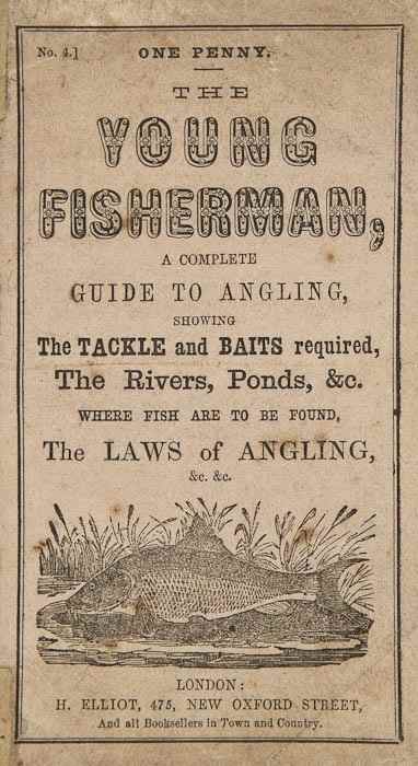 Appraisal: Young Fisherman The a complete guide to angling No of